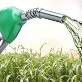 RenovaBio agora é lei – A nova Política Nacional de Biocombustíveis